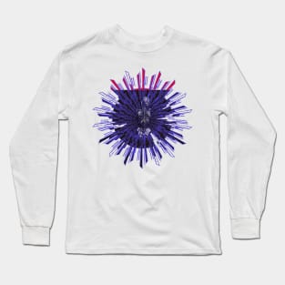 Breaching the Fifth Dimension Long Sleeve T-Shirt